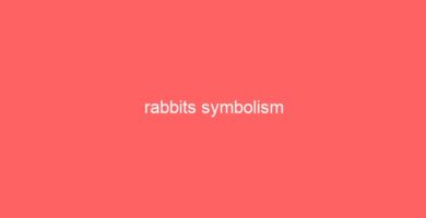 rabbits symbolism 39